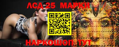 spice Кинель