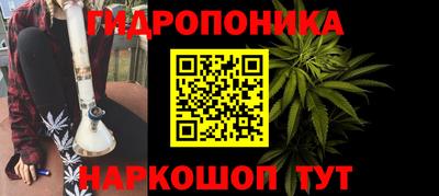 spice Кинель