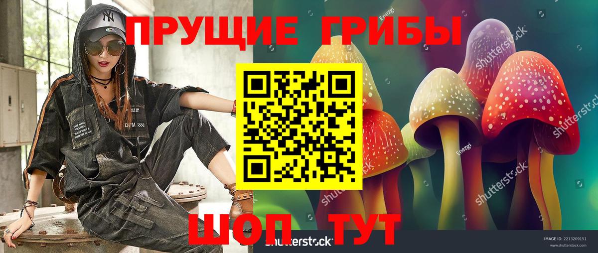 Кудымкар  Галлюциногенные грибы ЛСД  наркота  Вход с VPN 